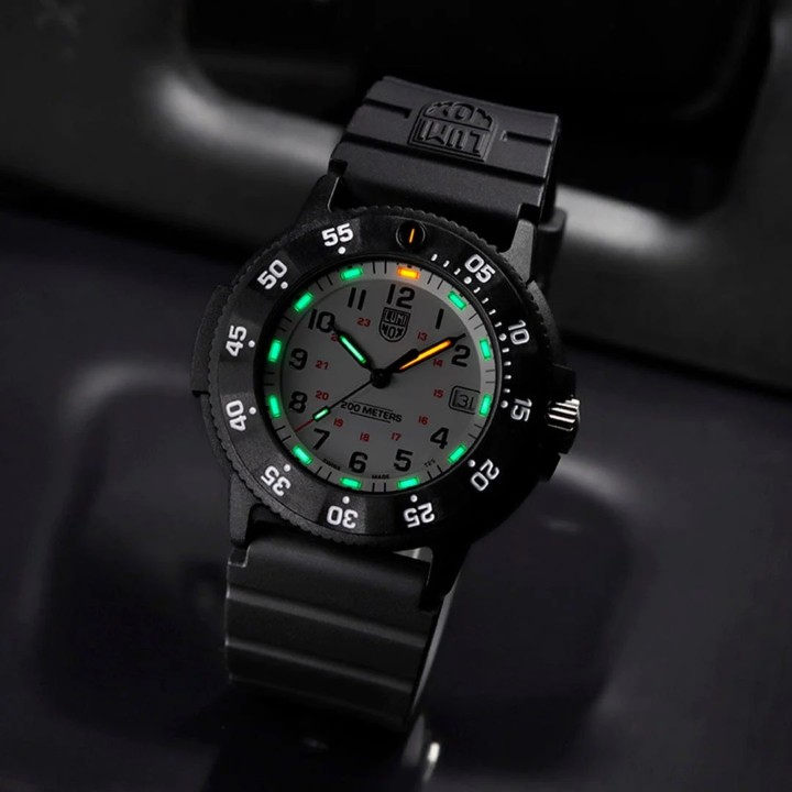 Bild von Luminox Original Navy SEAL 3000 Series