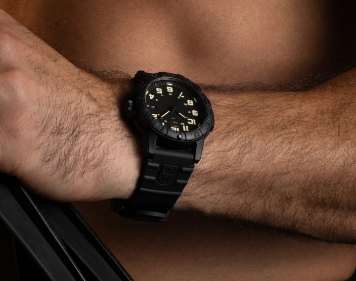Bild von Luminox Leatherback Sea Turtle Giant 0320 Series