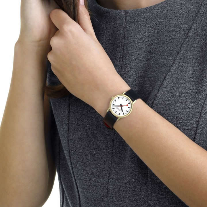 Bild von MONDAINE Classic