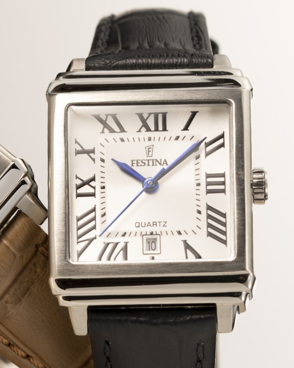 Bild von Festina Classics