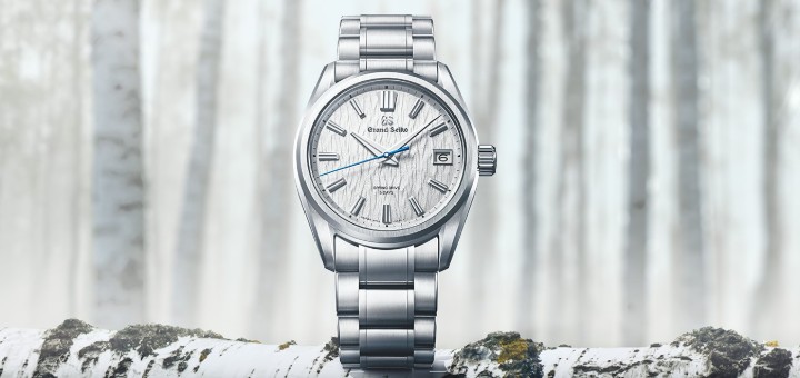 Bild von Grand Seiko Evolution 9 Spring Drive White Birch