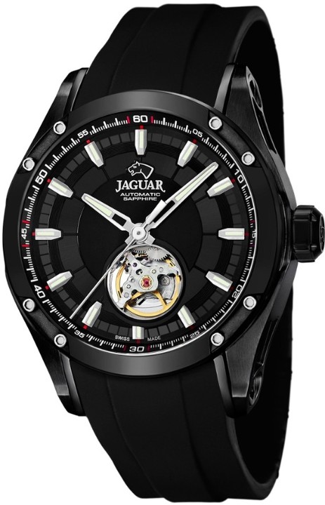 Bild von Jaguar Automatico