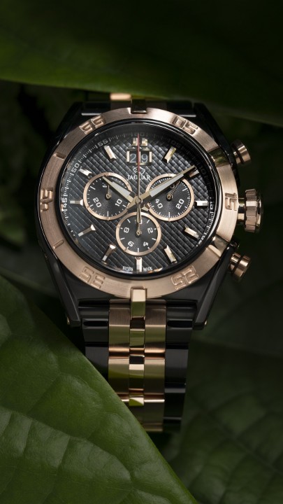 Bild von Jaguar Special Edition