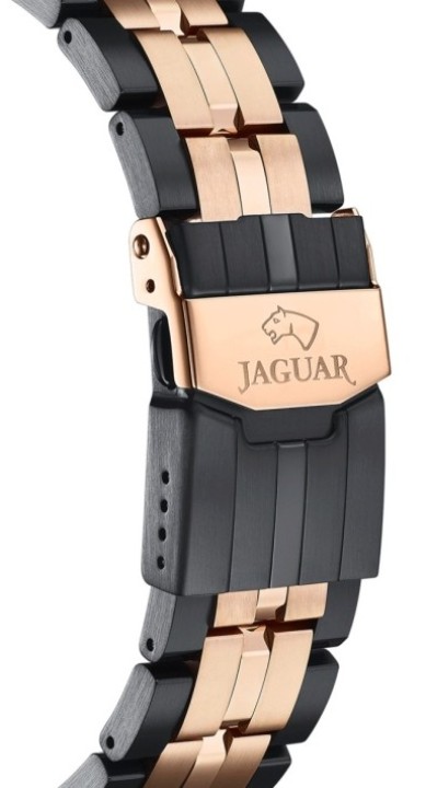 Bild von Jaguar Special Edition