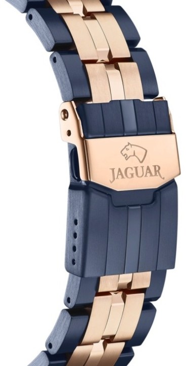 Bild von Jaguar Special Edition