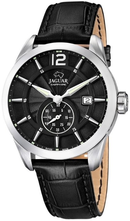 Bild von Jaguar Acamar