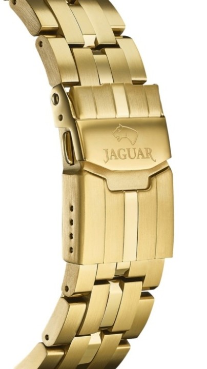 Bild von Jaguar Executive