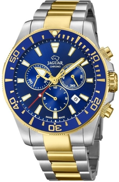 Bild von Jaguar Executive Diver