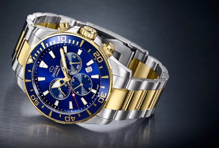 Bild von Jaguar Executive Diver