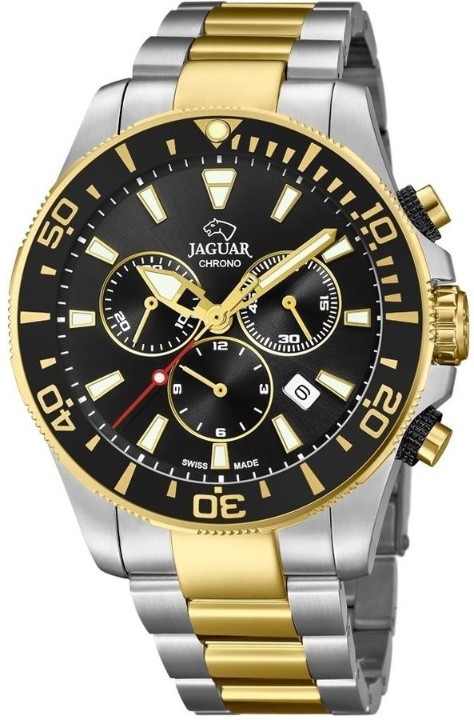 Bild von Jaguar Executive Diver