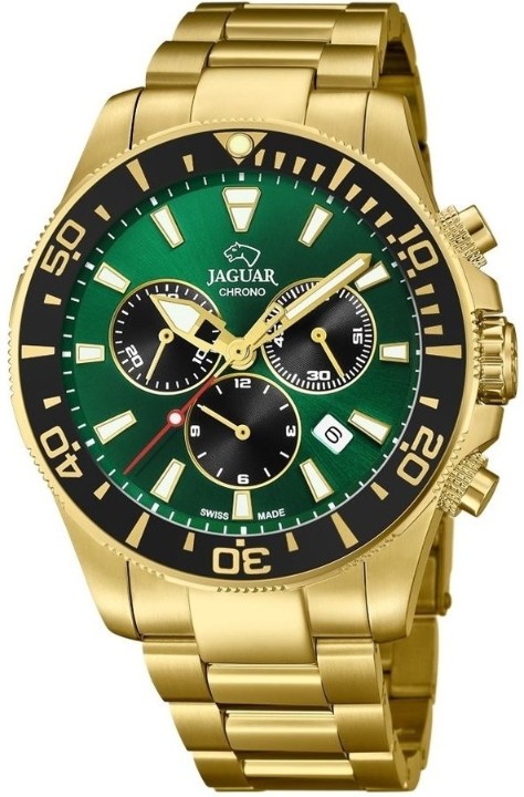 Bild von Jaguar Executive Diver