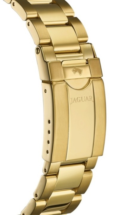 Bild von Jaguar Executive Diver