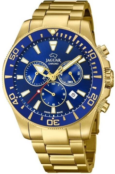 Bild von Jaguar Executive Diver