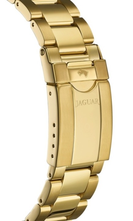 Bild von Jaguar Executive Diver