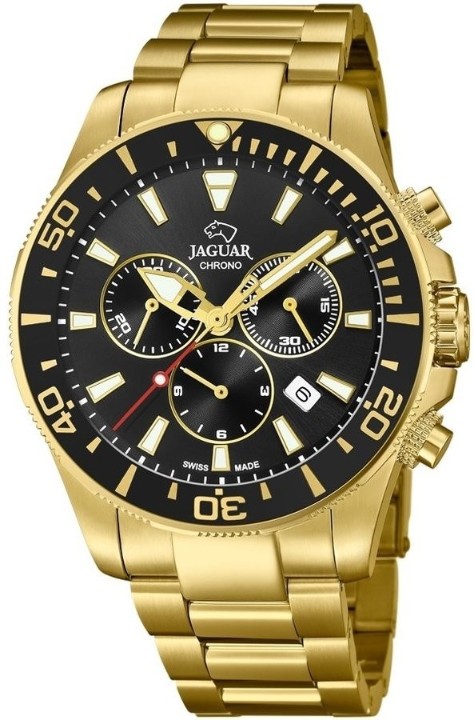 Bild von Jaguar Executive Diver