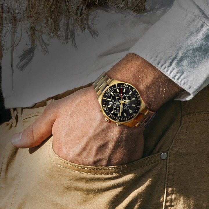 Bild von Jaguar Executive Diver