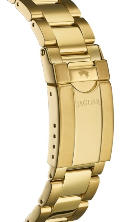 Bild von Jaguar Executive Diver