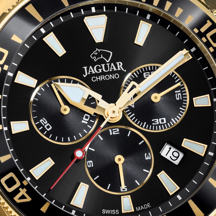 Bild von Jaguar Executive Diver