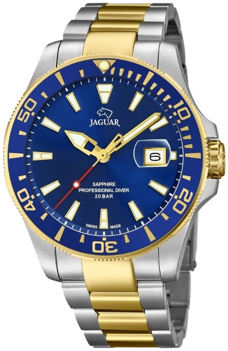 Bild von Jaguar Executive Diver