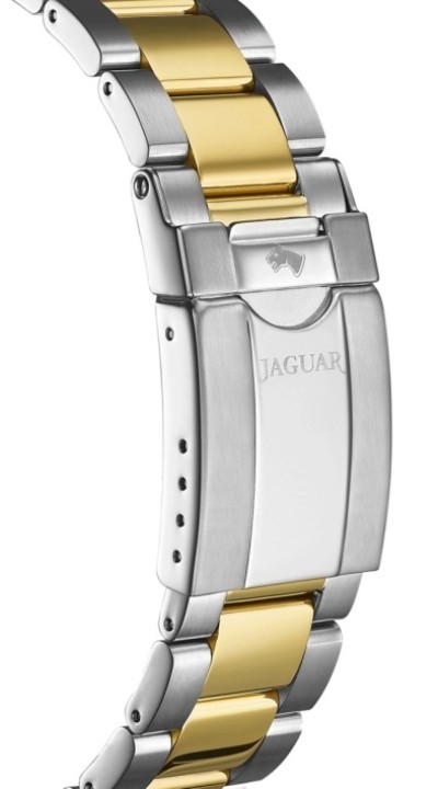 Bild von Jaguar Executive Diver