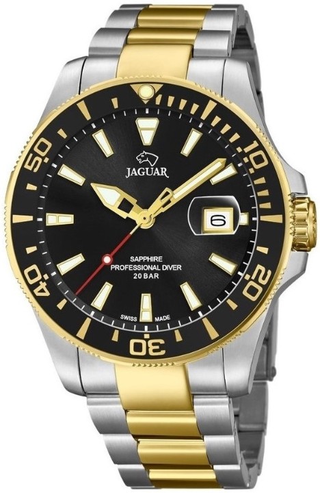 Bild von Jaguar Executive Diver