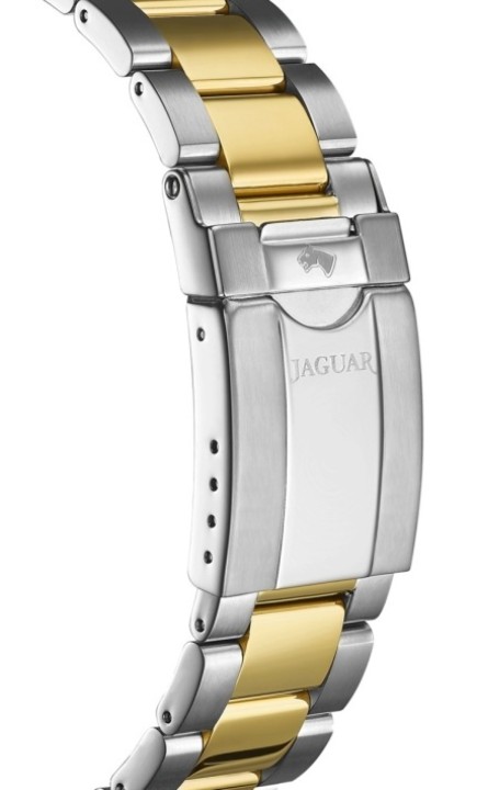 Bild von Jaguar Executive Diver