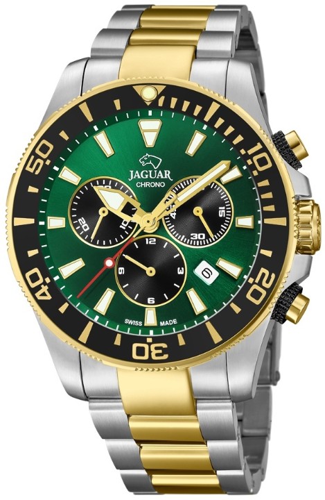 Bild von Jaguar Executive Diver