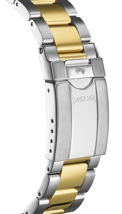 Bild von Jaguar Executive Diver