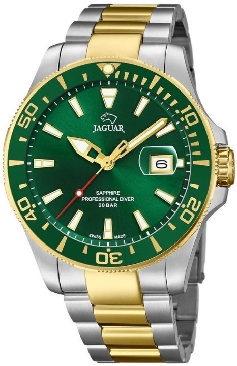 Bild von Jaguar Executive Diver