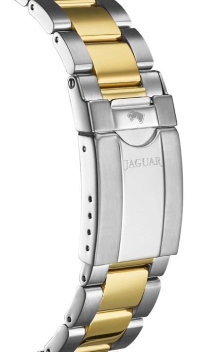 Bild von Jaguar Executive Diver