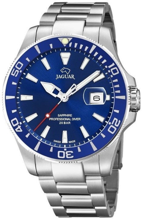 Bild von Jaguar Executive Diver