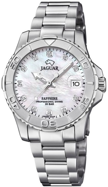 Bild von Jaguar Executive Diver