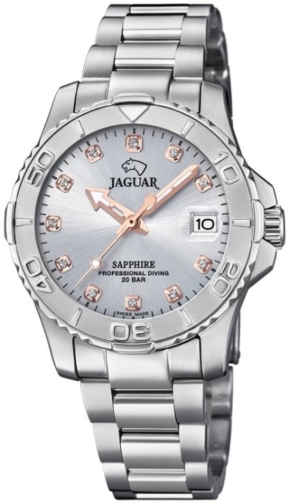 Bild von Jaguar Executive Diver