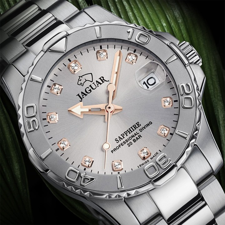 Bild von Jaguar Executive Diver