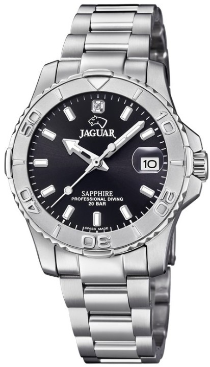 Bild von Jaguar Executive Diver