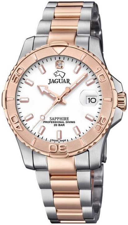 Bild von Jaguar Executive Diver