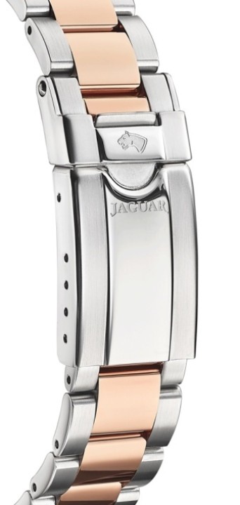 Bild von Jaguar Executive Diver
