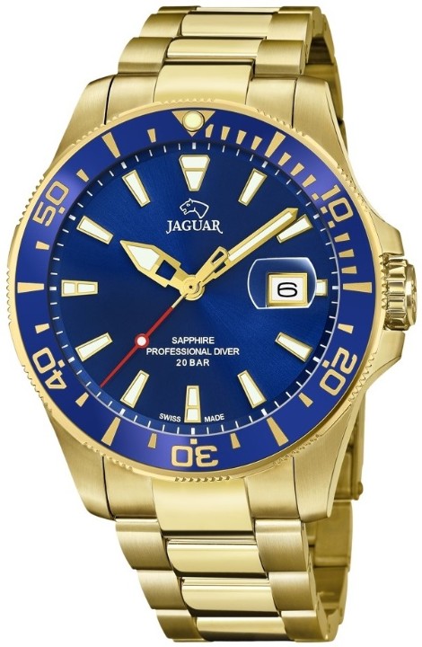 Bild von Jaguar Executive Diver