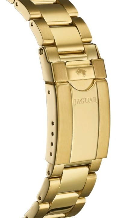 Bild von Jaguar Executive Diver