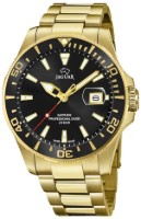 Bild von Jaguar Executive Diver