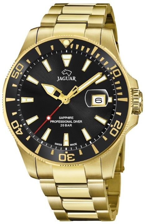 Bild von Jaguar Executive Diver