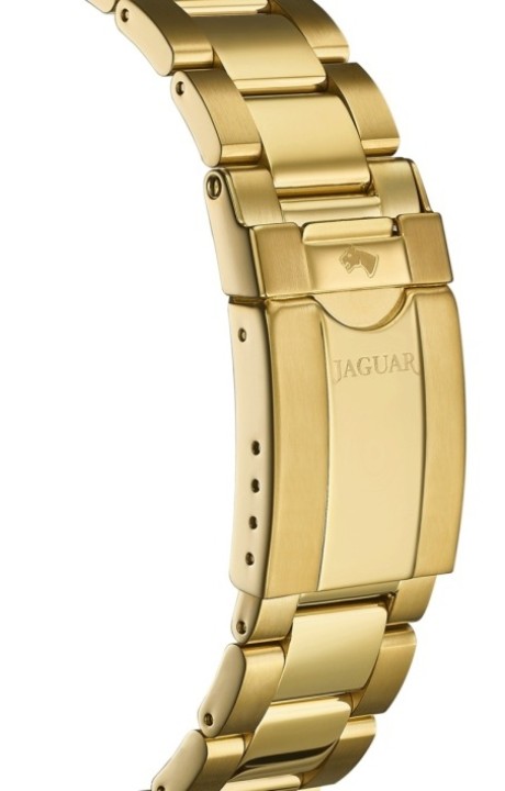 Bild von Jaguar Executive Diver