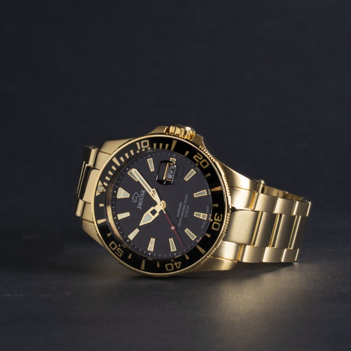 Bild von Jaguar Executive Diver