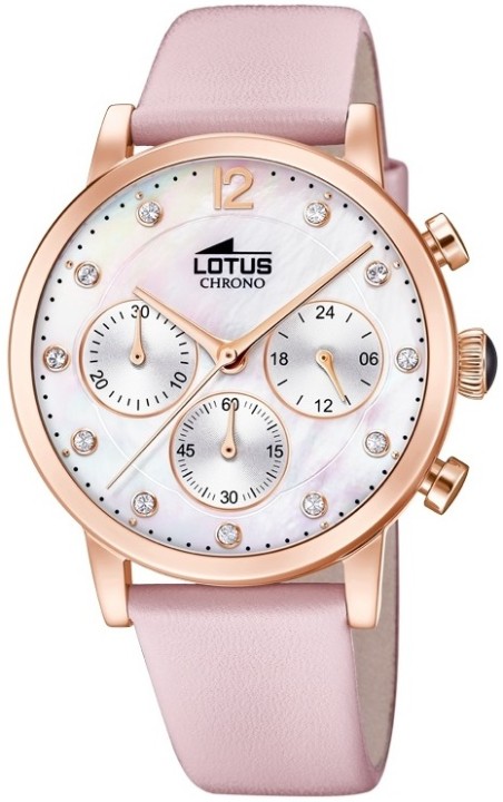 Bild von Lotus Trendy