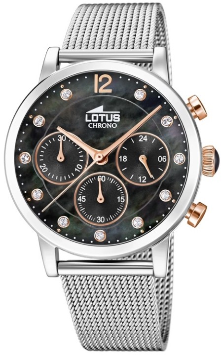 Bild von Lotus Trendy