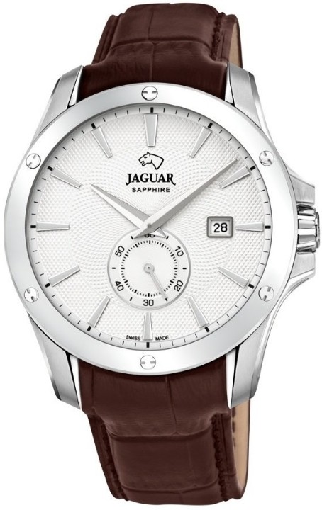 Bild von Jaguar Acamar