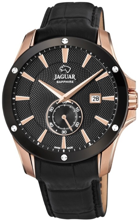 Bild von Jaguar Acamar