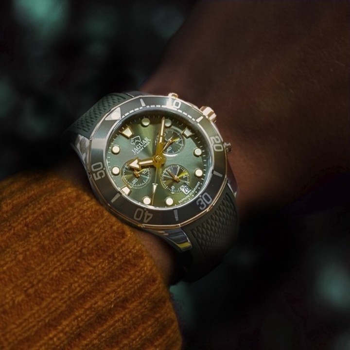 Bild von Jaguar Woman Diver