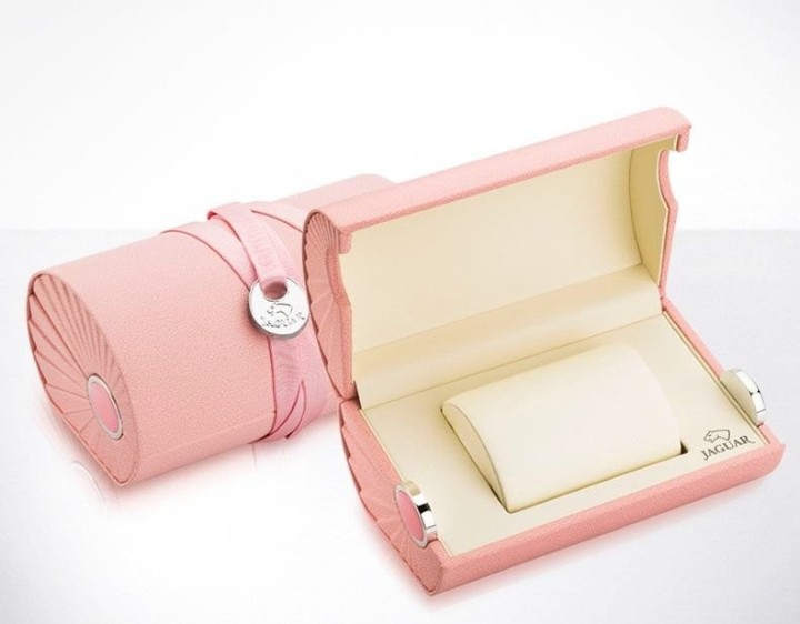 Bild von Jaguar Woman Diver