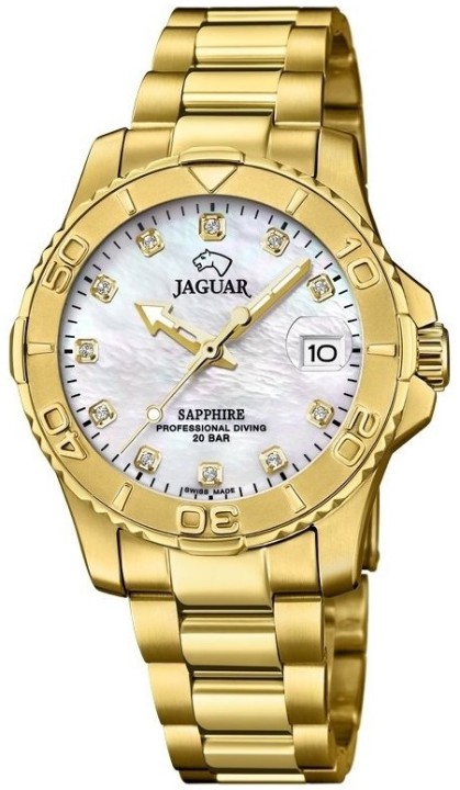 Bild von Jaguar Executive Diver